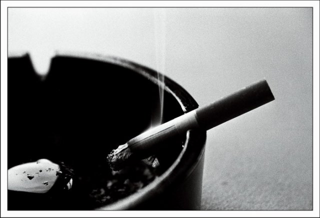 Photo02_3.jpg, 80 KB